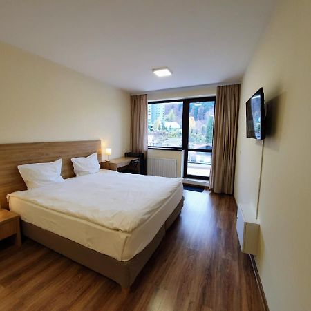 Studio Mountain View Sinaia Buitenkant foto