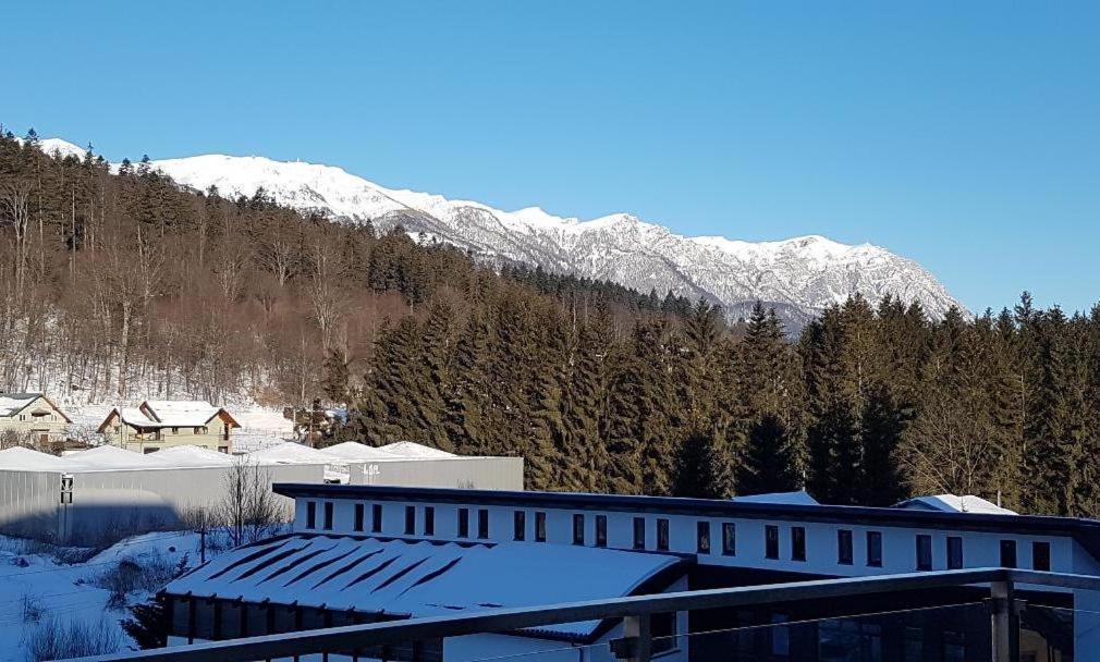 Studio Mountain View Sinaia Buitenkant foto