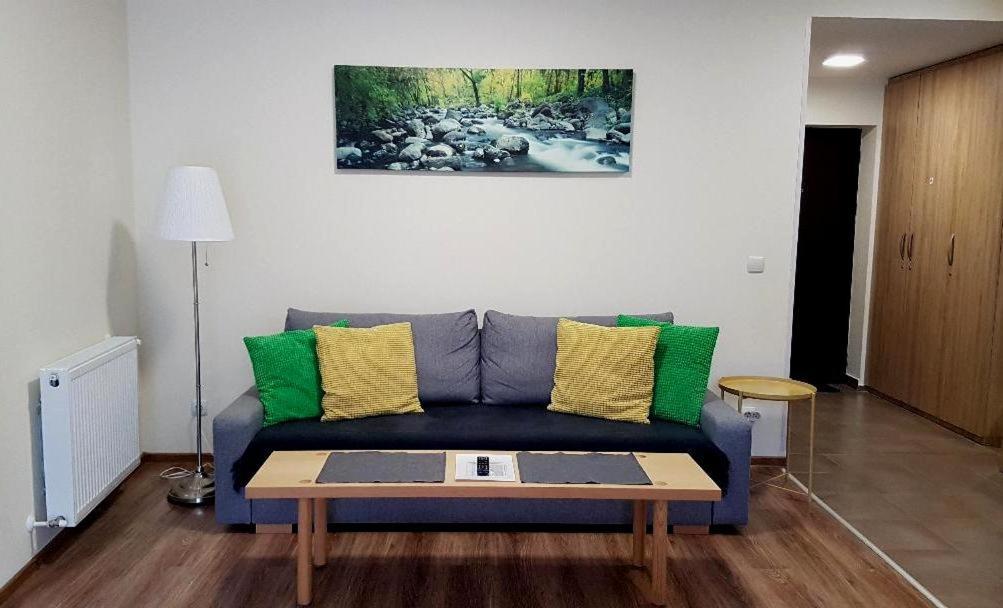 Studio Mountain View Sinaia Buitenkant foto