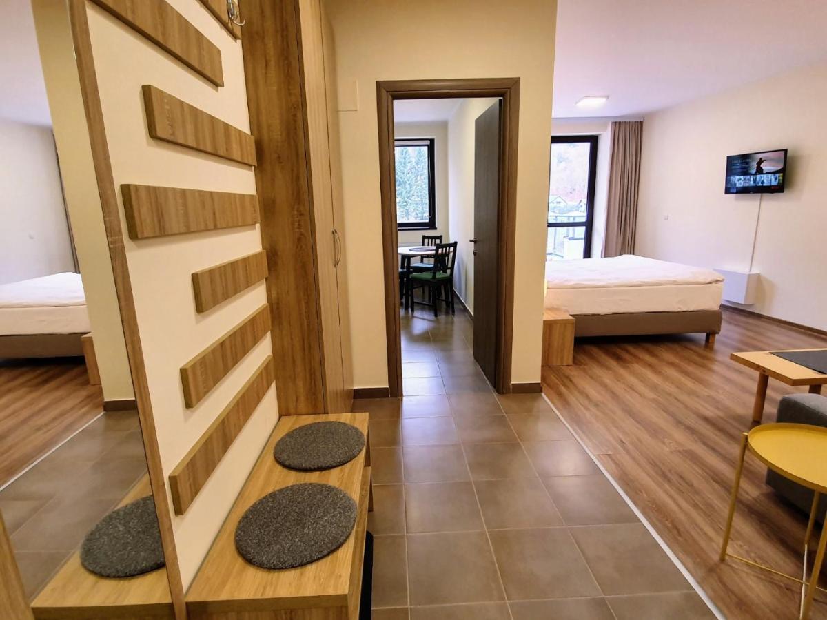 Studio Mountain View Sinaia Buitenkant foto