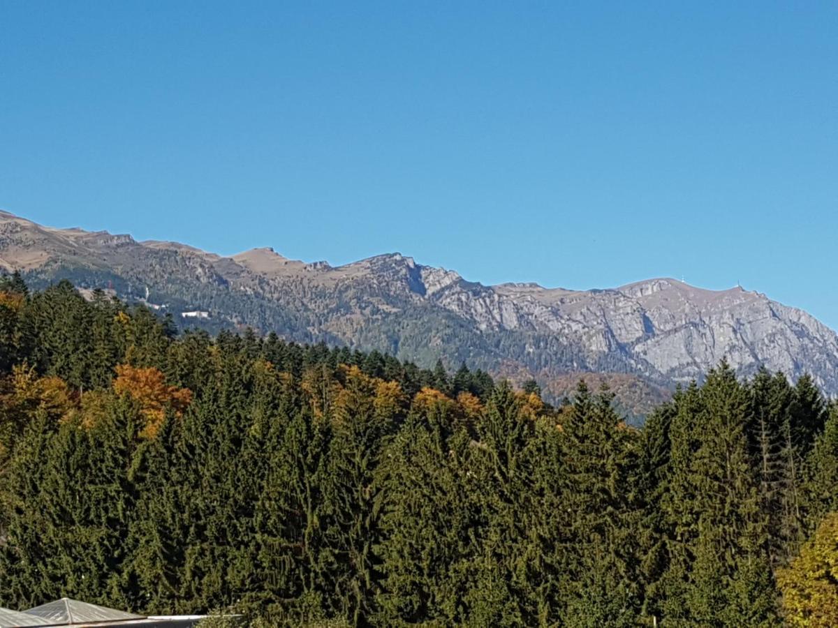 Studio Mountain View Sinaia Buitenkant foto