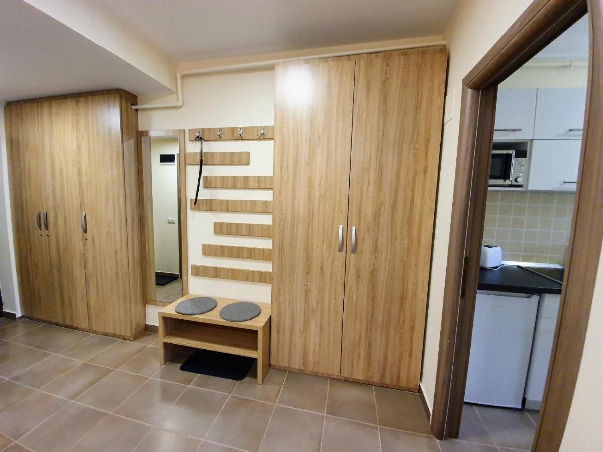Studio Mountain View Sinaia Buitenkant foto